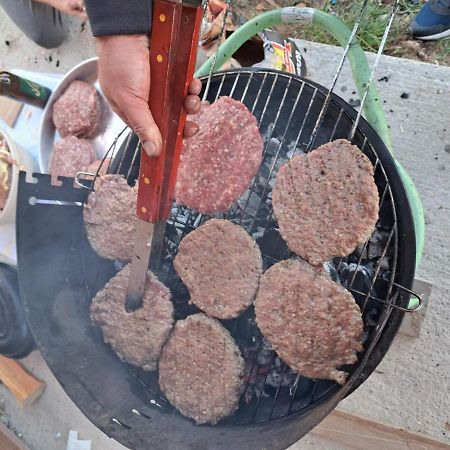 Vule Bungalovi Žabljak Dış mekan fotoğraf