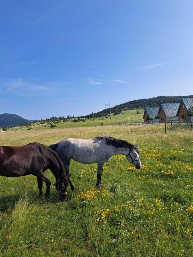 Vule Bungalovi Žabljak Dış mekan fotoğraf